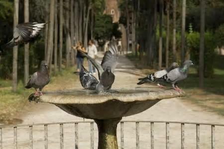 B&B Gio Colosseo - Celio โรม ภายนอก รูปภาพ